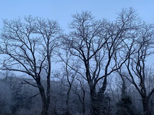 Loire : retour des giboulées et de la neige annoncé