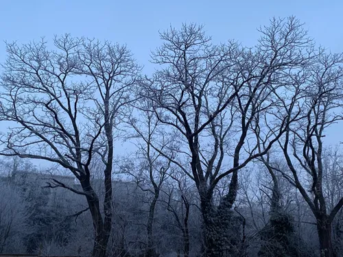 Loire : une chute drastique des températures annoncée
