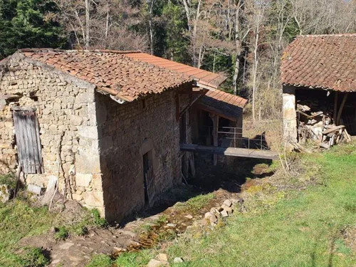 Loire : Le Moulin de l’Hermite à Périgneux fait partie des lauréats...