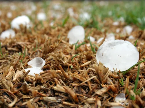 Loire : De la grêle jusqu'à 5 cm de diamètre et des vents pouvant...