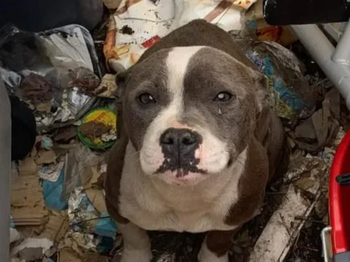 La Fouillouse : Elle est condamnée à 3000 euros d'amende après...