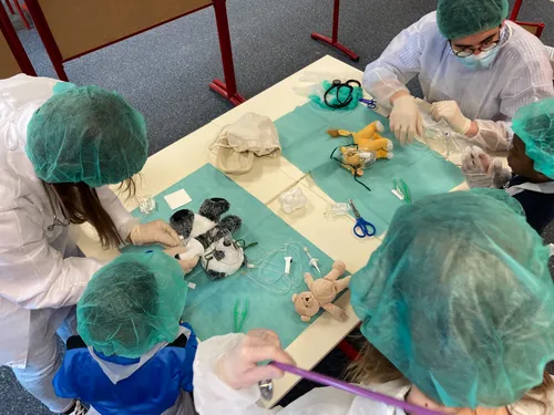 Reims: découvrez l'hôpital des nounours 