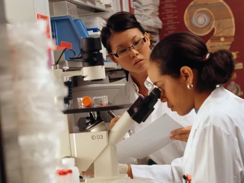 Les femmes scientifiques sortent de l’ombre à Toulouse