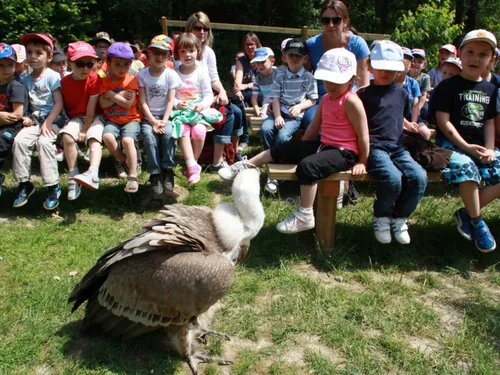 Carte Postale : Champagne FM vous emmène au Parc Argonne Découverte 