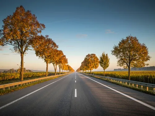 L'annulation de l'A69 pourrait coûter très cher à l'Etat 