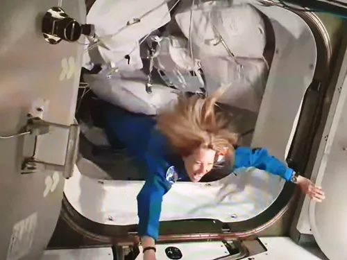 Aya Nakamura, David Guetta, Céline Dion ... la playlist de Sophie...