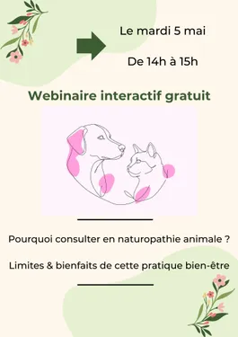 Pourquoi consulter en naturopathie animale? Limites et bienfaits de...