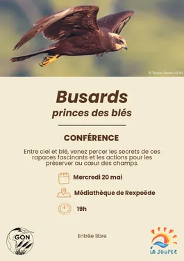  Conférence sur les Busards