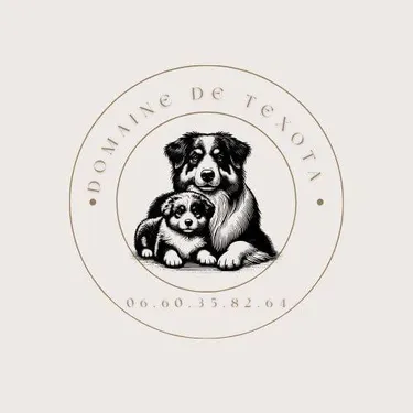 Evénement canin au Domaine de Texota