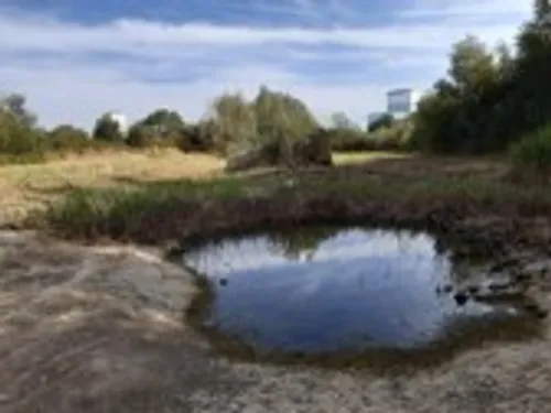 Conférence du Conservatoire des Espaces Naturels et visite terrain...
