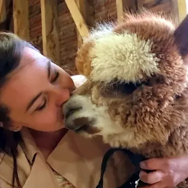 Rencontre et activités avec les lamas et les alpagas