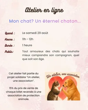 Atelier solidaire en ligne "Mon chat? Un éternel chaton!"