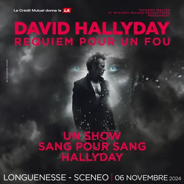 Requiem pour un fou - David Hallyday La tournée Cent pour Cent...