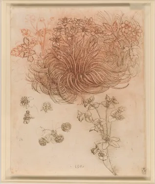 Léonard de Vinci et la nature