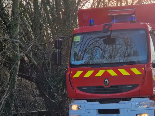 Le corps retrouvé dans la forêt de Clairmarais identifié