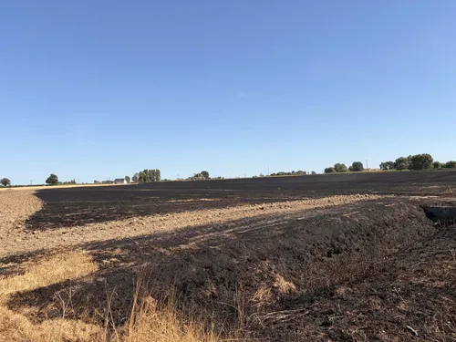Auchy-lès-Hesdin : un feu de bois se propage à une serre