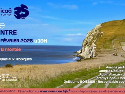 Nausicaà : soirée débat ce mardi 10 février à 19:00