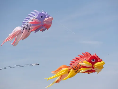 Grand-Fort-Philippe : Des dragons, des pieuvres géantes, Spiderman...