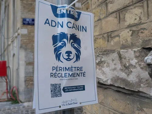Quel bilan pour le dispositif d’ADN canin à Saint-Omer ?