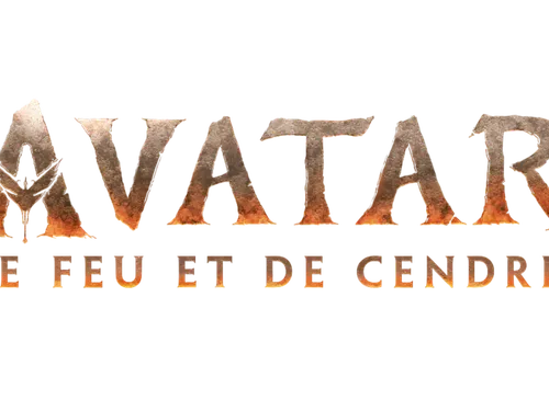 Cinémas de la région : Bilan 2025