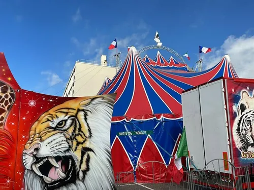 Le cirque Benzini, après Bray-Dunes, le chapiteau et la polémique...