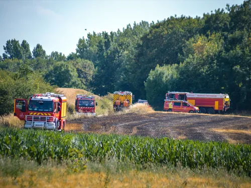 Neufchâtel-Hardelot : un incendie ravage une partie de la forêt...