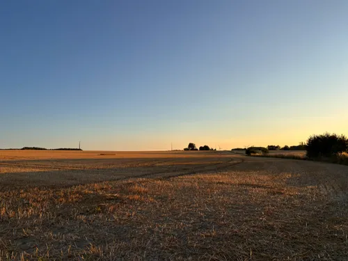 Thiembronne : des bâtiments agricoles ravagés par les flammes 