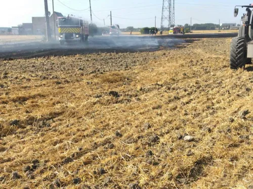 Plus d'un hectare de champs ravagé par un incendie à Spycker