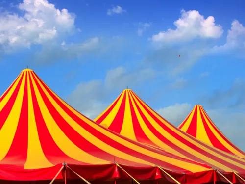 Bray-Dunes : pourquoi la mairie interdit l'ouverture du cirque...