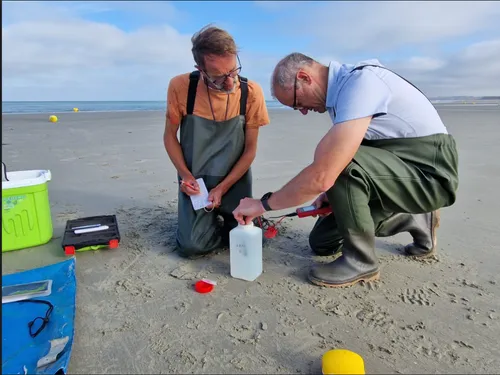 Wimereux : les chercheurs du CNRS observent une canicule marine...