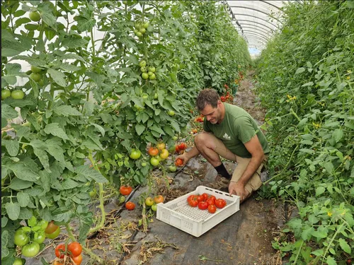Wimille : la sécheresse menace les agriculteurs