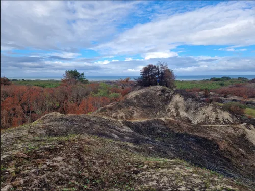 Dannes et Hardelot : après l’incendie, le mont Saint-Frieux va...