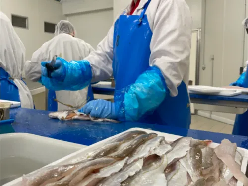 Boulogne-sur-Mer : premier port de pêche de France, mais des...