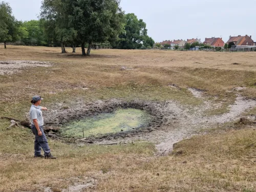 Dune fossile : le combat des gardes face à un écosystème assoiffé