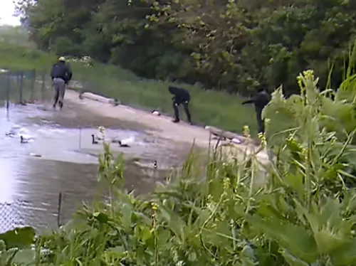 Saint-Folquin : encore une plainte dans l'affaire des canards...