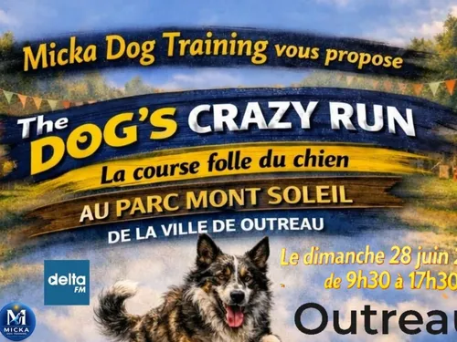 Outreau : 2ème édition de La Dog's Crazy Run dimanche 28 juin
