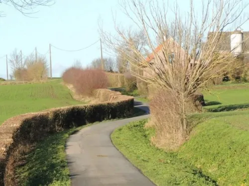 Cœur de Flandre : une aide pour favoriser la plantation d’arbres ou...