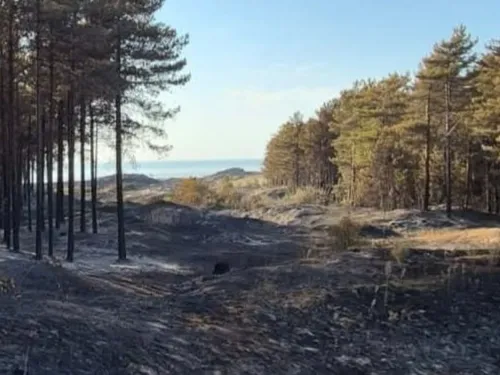 Incendies entre Dannes et Neufchâtel-Hardelot : un vent défavorable...