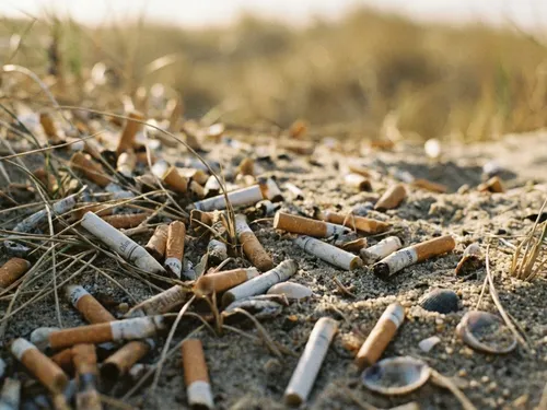 Pas de Calais : 3 500 mégots ramassés sur le littoral, Eden 62 tire...