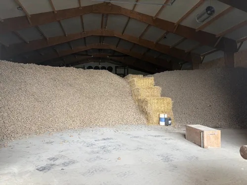 "C'est pire que pendant le Covid" : rencontre avec un agriculteur à...