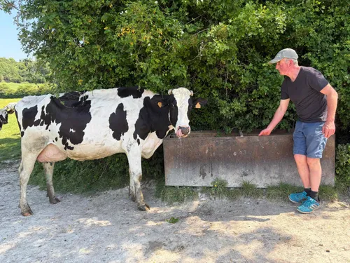 Alquines : les agriculteurs doivent s'adapter aux fortes chaleurs 