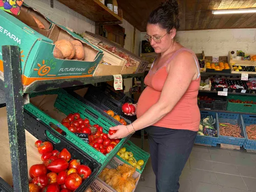 Sécheresse : à la Cressonnière de Tilques, "on n'a jamais vu ça !"