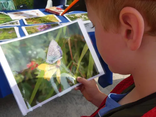 Le Wast : "40 ans, ça se fête" pour le Parc naturel régional