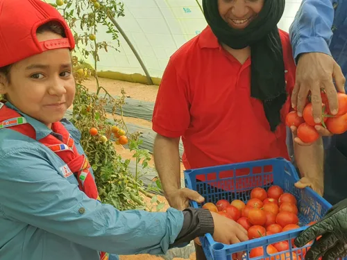 Gravelines : le Secours Populaire a fait reverdir le désert… et...