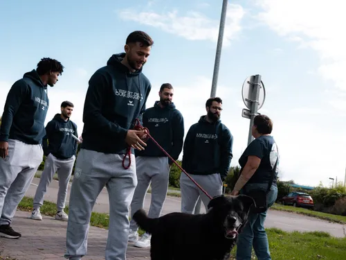 Hand : les joueurs de Dunkerque main dans la patte avec les animaux...