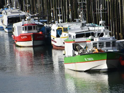 Boulogne, Dunkerque… Les pêcheurs Nordistes septiques sur les aides...