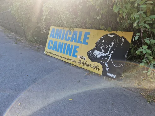 L’amicale canine de Grande-Synthe bientôt au cimetière…