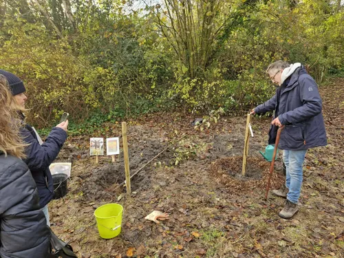 Armbouts-Cappel : des poires, des pommes, des prunes dans votre...