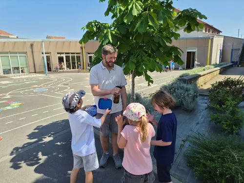 Aération, hydratation et… cours dehors, on combat la chaleur dans...