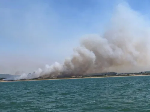 Incendies entre Dannes et Neufchâtel-Hardelot, 180 hectares de...